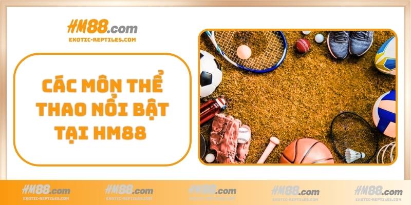Các môn thể thao nổi bật tại HM88