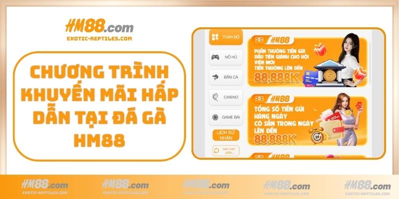 Chương trình khuyến mãi hấp dẫn tại Đá gà HM88