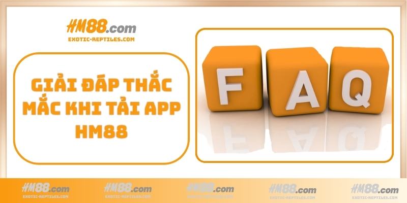 Giải đáp thắc mắc khi tải app HM88