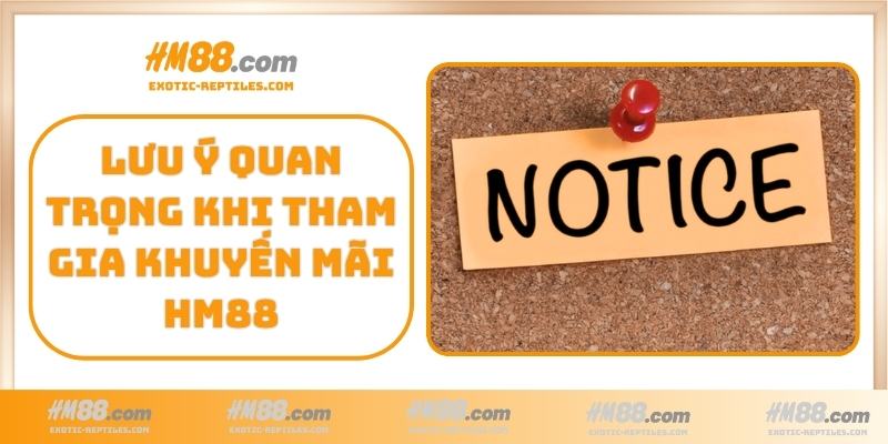 Lưu ý quan trọng khi tham gia khuyến mãi HM88