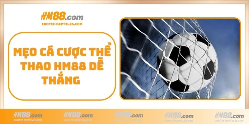 Mẹo cá cược thể thao HM88 dễ thắng