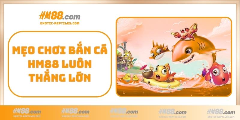 Mẹo chơi Bắn Cá HM88 luôn thắng lớn