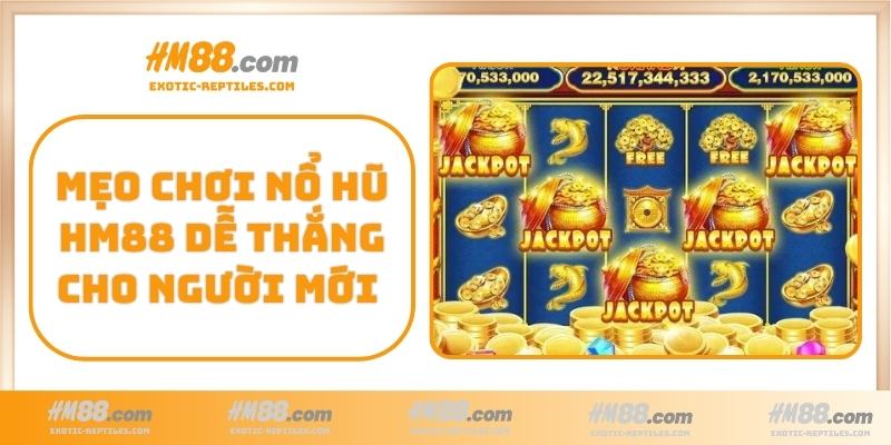Mẹo chơi Nổ Hũ HM88 dễ thắng cho người mới